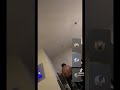Jr ,Ravelucci ,Haiti Babii ,Marty Blaz ,Working On TikTok Live