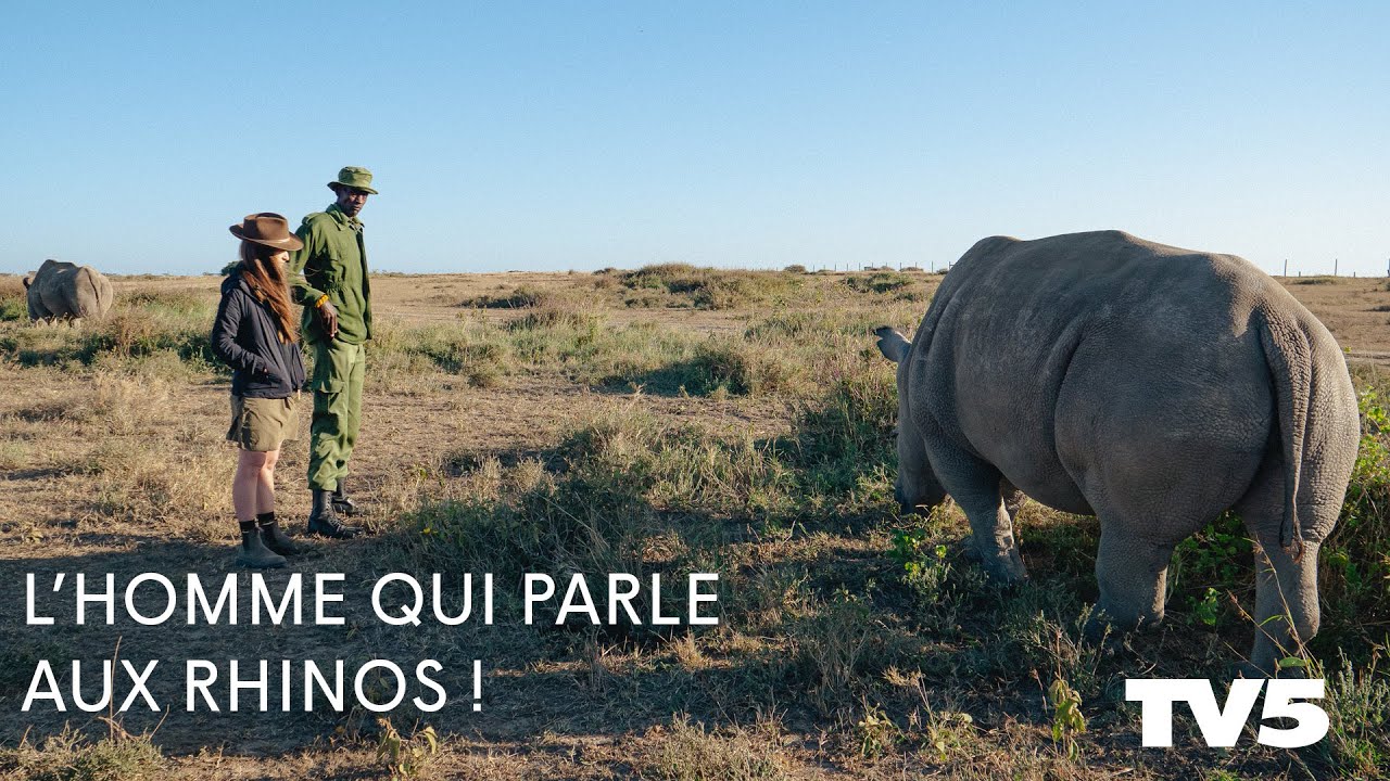 Les derniers rhinocéros blancs du nord et leur gardien - Connexion sauvage