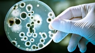 Can Biology evolve beyond Darwinism