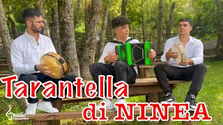 Tarantella Di Ninea Alessandro Gaudio & I Giovani Dellorganetto