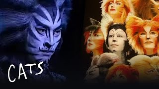 Cats goes to Japan - Japan | Cats the Musical