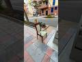 Думаю, этот стул еще найдет свой дом #chair #muebles #furniture #trash #street #vlog #blog #find