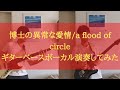 博士の異常な愛情/a flood of circle cover