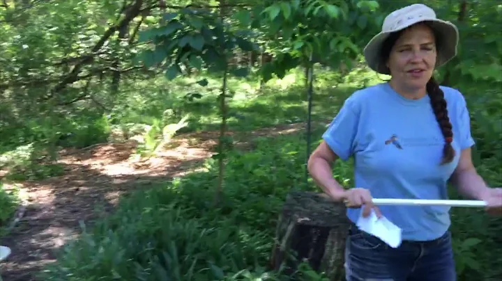 Nancy Lawson Invites Us to Her Garden