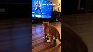 cat funny dance 😝🤪🤣 #shorts #cat #funny #video #viral #youtubeshorts