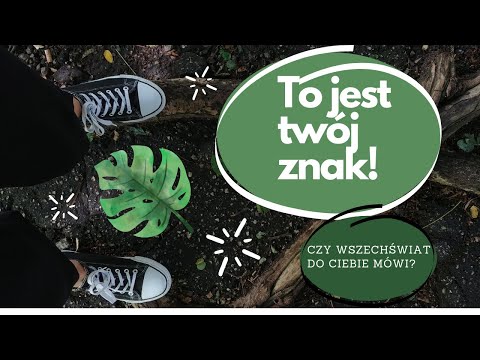 Wideo: Jak Zobaczyć Znaki Wszechświata?