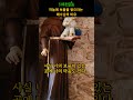 [성경읽기]하늘에 보물을 쌓아라! 하루한말씀으로 평화롭고 풍요로운 하루가 되시길 빕니다 #하루한말씀 #축복된삶 #성경읽기 #지혜