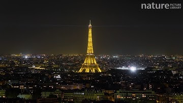 Timelapse of the Eiffel Tower illuminated at night, Paris, France, May 2016.