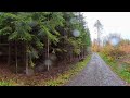Relaxing Walk Through Czech Autumn Woods | 8K 360° Natural Sounds