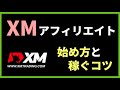 【実績公開】XMアフィリエイトの仕組みとやり方