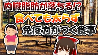 内臓脂肪が落ちる！？食べても太らず免疫力がつく食事【ゆっくり解説】