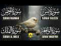 Surah Yasin Surah Rahman Surah Waqia Surah Mulk Full HD Ashraf Hussain 0038 Surah Yasin Surah Rahman Surah Waqia Surah Mulk Full HD Ashraf Hussain 0038