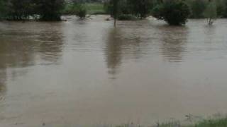 RÍO CUBIA - INUNDACIONES - 2010 - JARDÍN DE LAS MARIPOSAS - GRADO - ASTURIAS