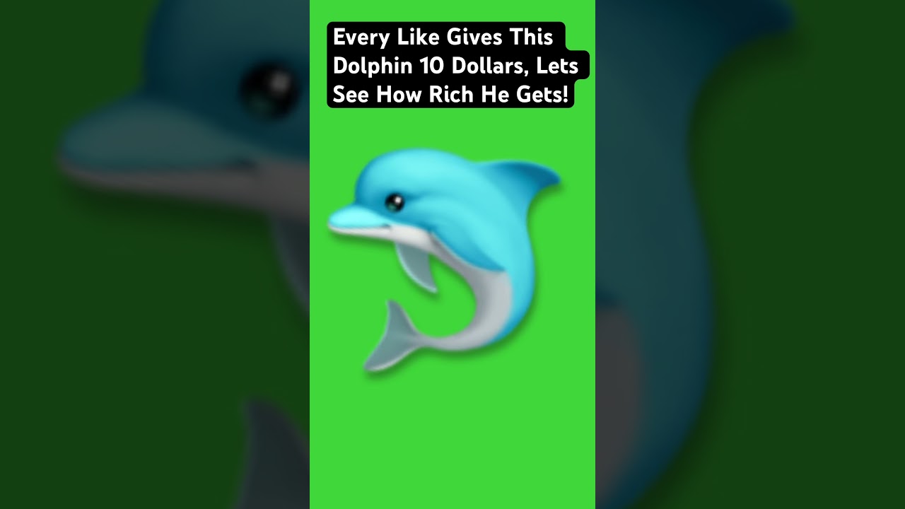 Lets Make This Dolphin Rich 