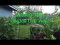 January 29th Garden Live View. Tambay Lang po ,😍😍