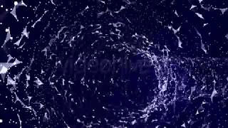 Celebrity Space Plexus Tunnel Net Worth