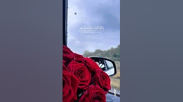 ‏جمعة مباركة | سورة الأحزاب الآية 56 | سعد الغامدي #quran #قرآن #جمعة_مباركة #اكسبلور #هولندا