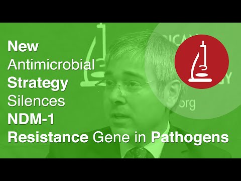 Wideo: Potencjalna Synergia Między Inhibitorami Agregacji Tau I Chaperonemodulatorami Tau