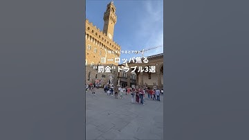 知らずにやると罰金？ #newt #旅行 #海外旅行