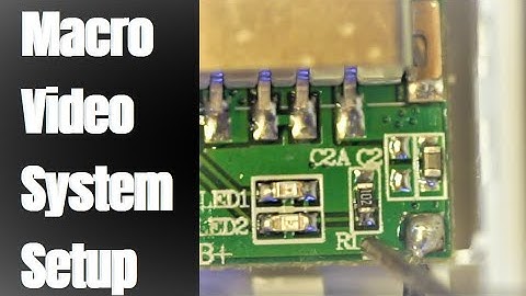 How to set up and film macro video or macro photography using Sony camera and Sigma macro lens