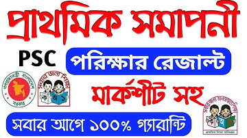 Psc Result check 2019 | প্রাথমিক সমাপনী পরিক্ষার রেজাল্ট ২০১৯।  Amir Tech