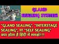 GLAND SEALING SYSTEM || SELF SEALING IN TURBINE || INTERSTAGE SEALING || [हिंदी]