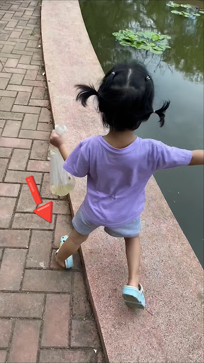 Detik detik kecebur ke kolam #funny #comedy #lucu #cute #moments  #cat #catlover #imut
