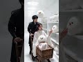 The White Sanctuary 🤍 | A Dreamy AI Fantasy Journey ✨