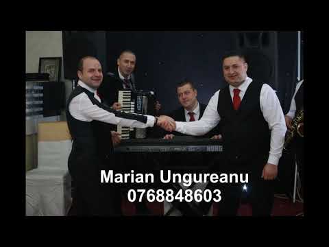 Marian Ungureanu & Stefan Constanta Band 2019 Ascultare
