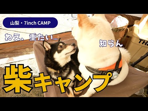 禅ちゃん雪ちゃんなかよしキャンプ【山梨県・7インチキャンプ】