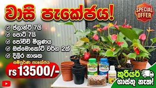 3041❤️මේක නන් ගන්නම ඔනි ඒ තරන් වාසියක් 0764090776