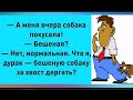 АЛЛО, это КЕКС по телефону? НЕТ, это ПОЛИЦИЯ! Ну,я Вам ЗАПЛАЧУ! ПРОДОЛЖАЙ ШАЛУН! Юмор на каждый день