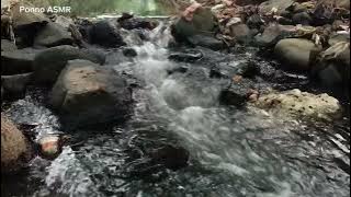 This  is a beautiful small rivers #asmr #water #ponnoasmr