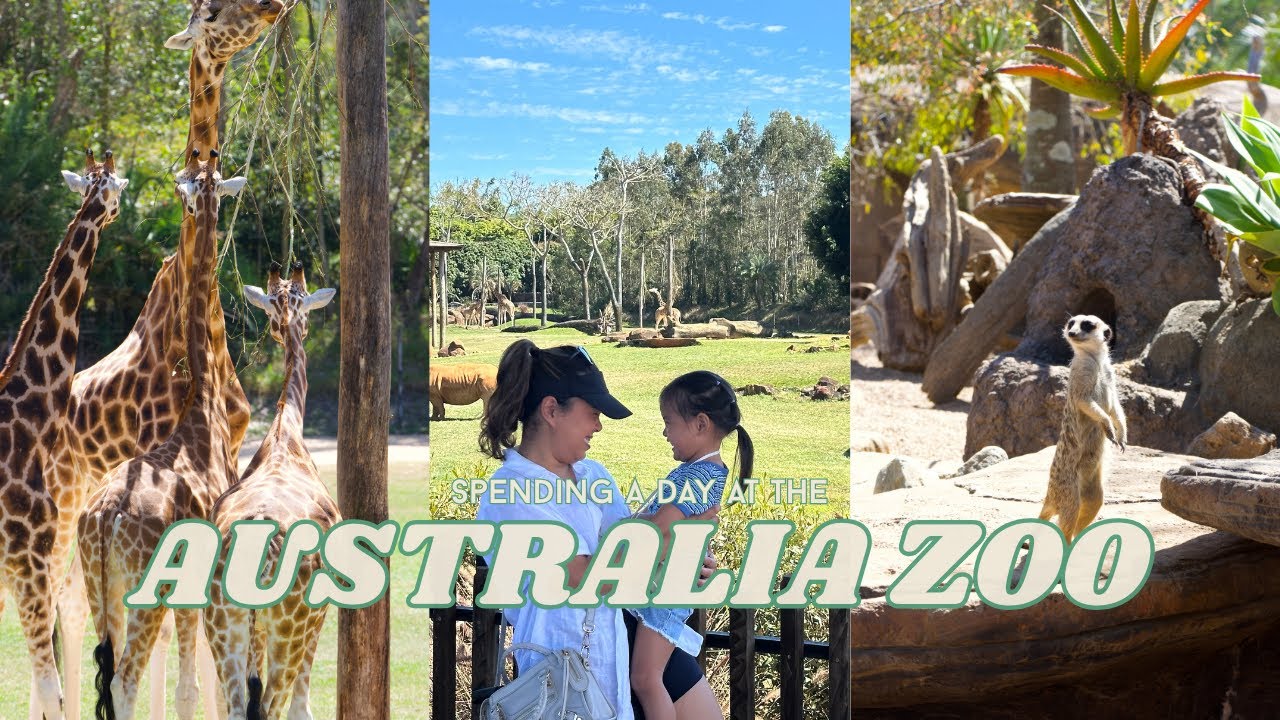 Crikey! Come to Australia Zoo ( Check out the Safari Animals and Australian Native Animals)