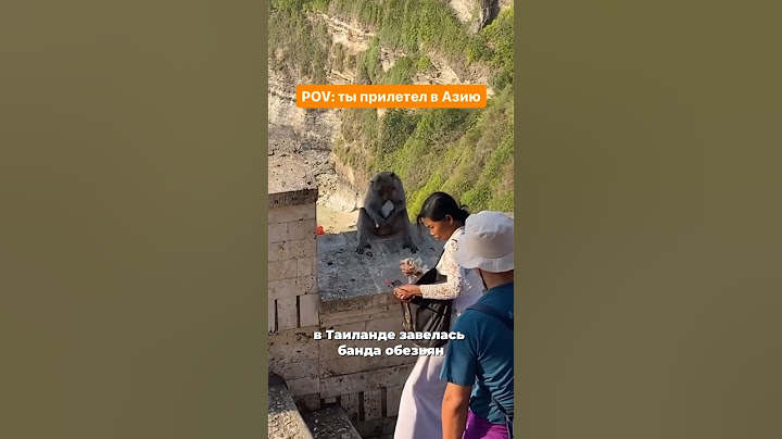 🐒Банда обезьян, которая ворует вещи у туристов #пхукет #таиланд #обезьяна