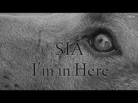 Sia - I'm
