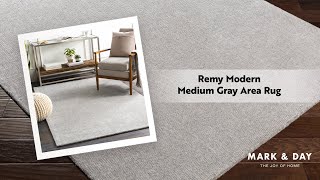Remy Modern Medium Gray Area Rug