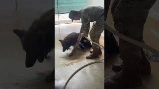 Bath time