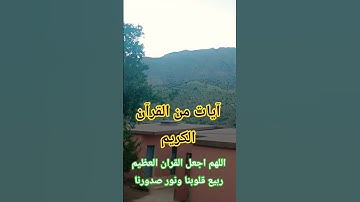 آيات بينات من الذكر الحكيم #voiceeffects #love #قران_كريم #اكسبلور #quran #القرآن_الكريم #راحة_نفسية