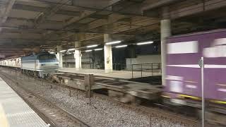 8月3日 EF66-115 サメ 藤沢駅通過