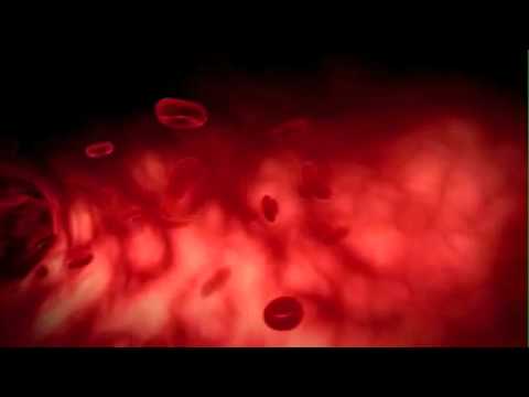 Video: A ishin qelizat e kuqe të gjakut?