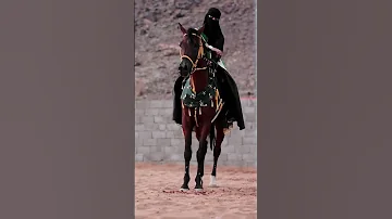 خيل مع شيلة جميلة حالات ستوري بدون موسيقى 
