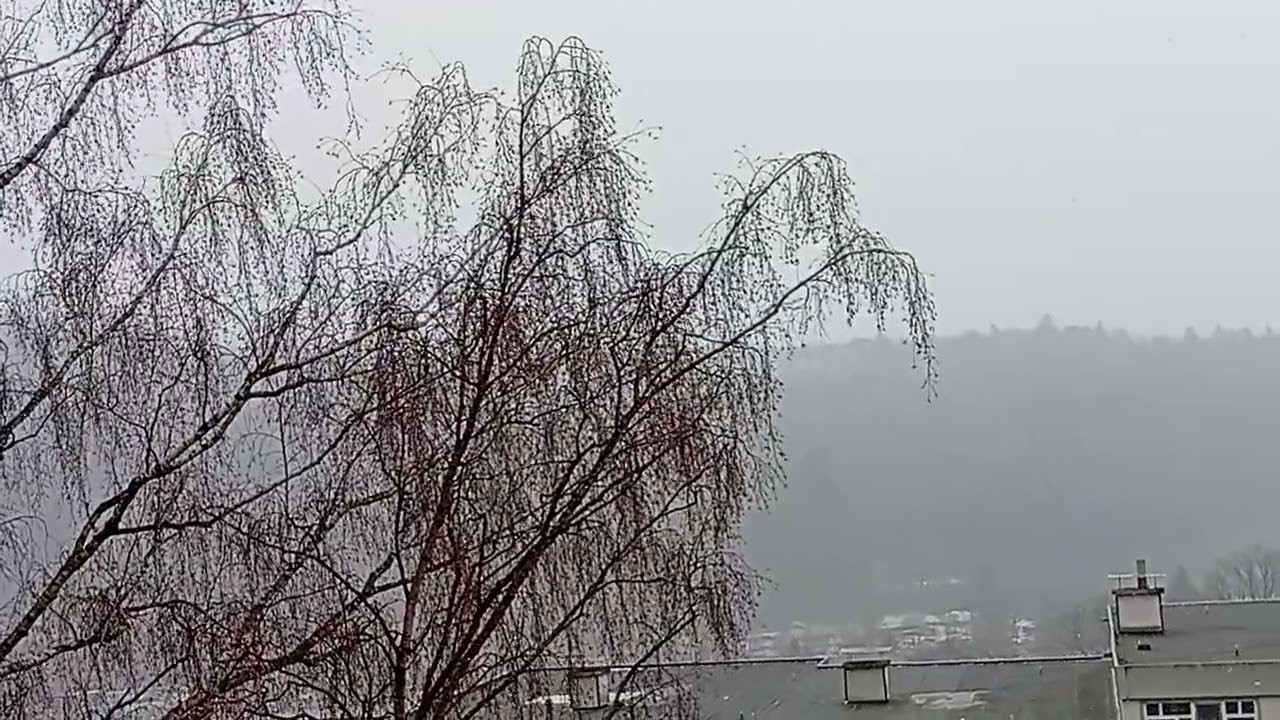 Erneutes Tiefeinfluss bringt erneuten Schneefall in Meschede am 3.2.2026.🌨️