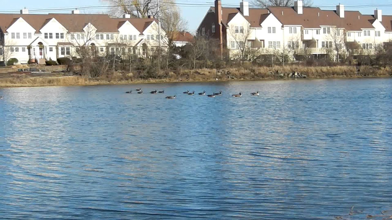 Crane River, Danvers, MA; January 26, 2012 YouTube