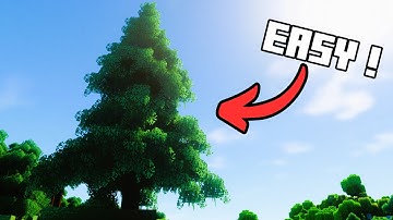 Minecraft Tutorial: Basic Spruce Tree Guide & Tips (Easy)