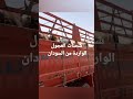شاهد شحنات العجول السودانية فور وصولها مصر اللحوم السودانية ارخص سعر للحوم Shortsvideo 