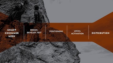 Bramble Telluride Venture Accelerator Demo Day 2017