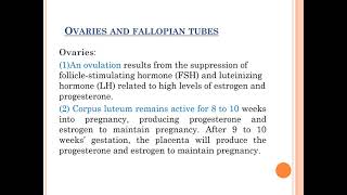 تمريض امراض نسا وتوليد لائحة قديمة -جديدةphysiological changes during pregnancy د سميةعودةفرقةثالثة