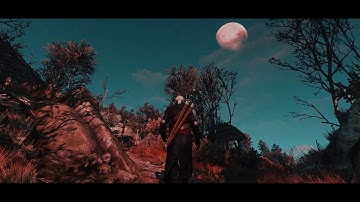 Witcher 3 // ReShade and environment showcase #30