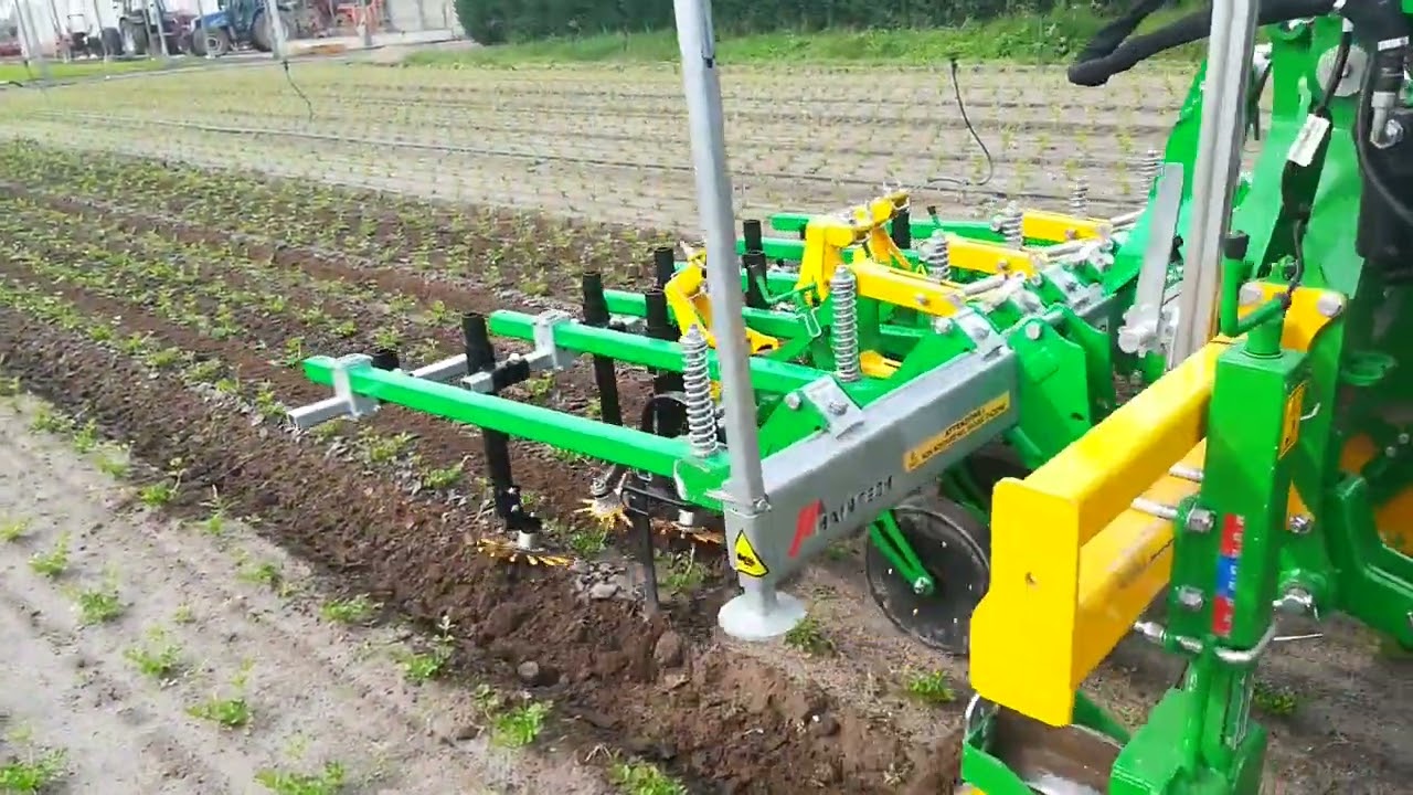 Sarchiatura biologica ortaggi